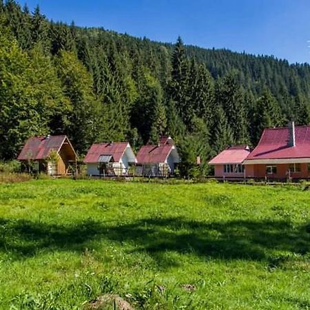 Cabana Valea Stanciului ラキツェレ エクステリア 写真
