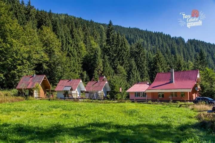 Cabana Valea Stanciului ラキツェレ エクステリア 写真